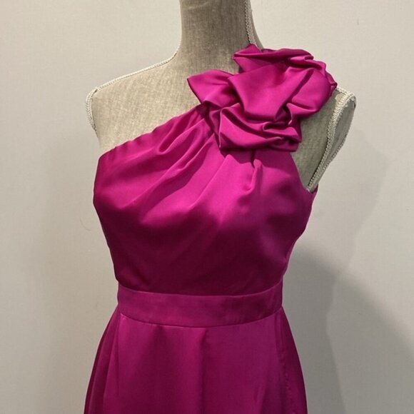 The Limited Fuchsia One Shoulder Dress - Picture 3 of 16